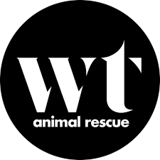 Wolf Trap Animal Rescue Virginia