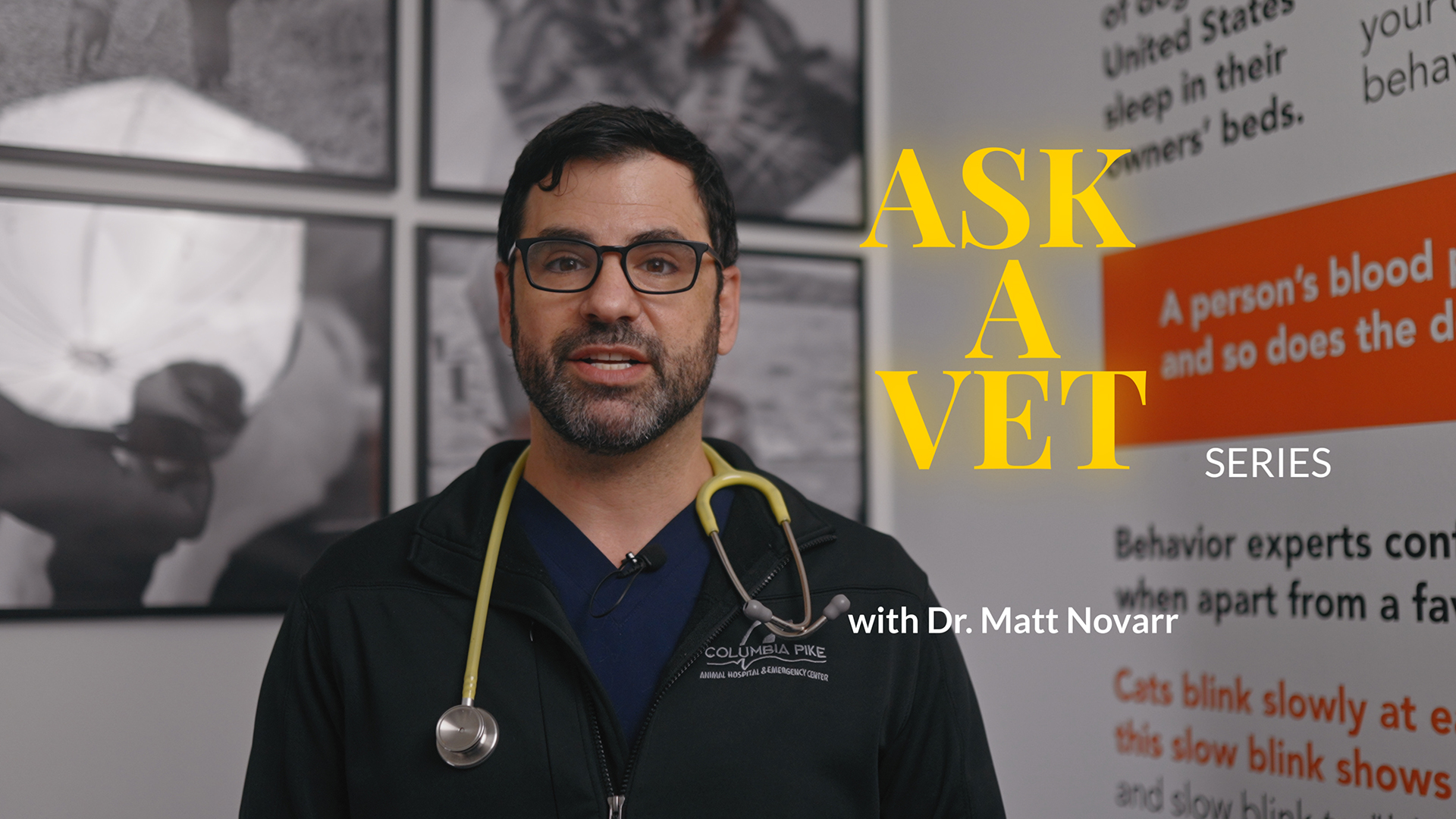 Introducing Our New Ask A Vet Series!