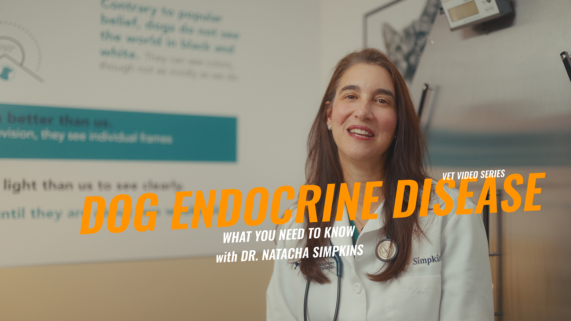 Understanding Endocrine Diseases in Dogs