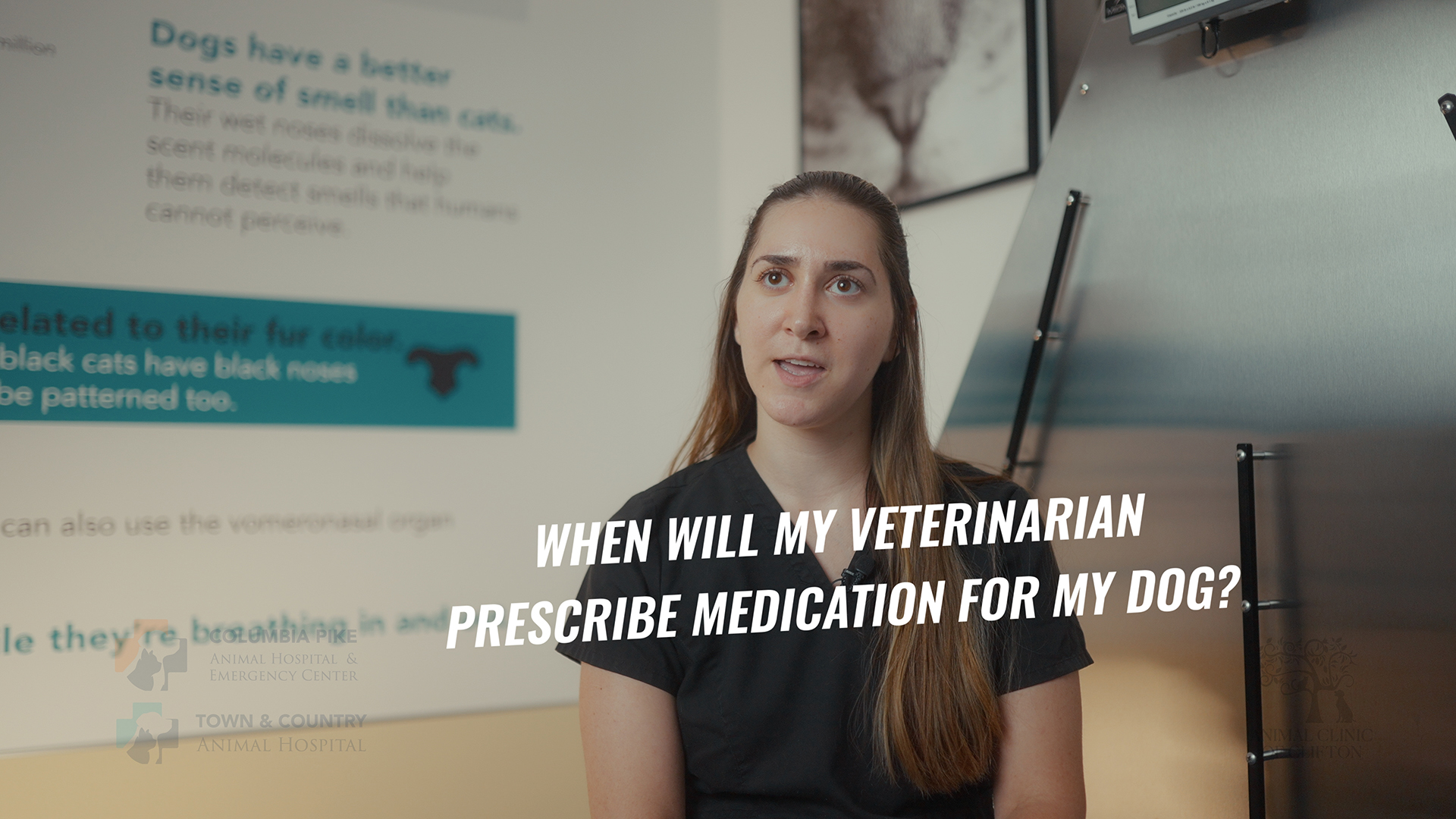 Dog Medications: What Every Pet Parent Should Know
