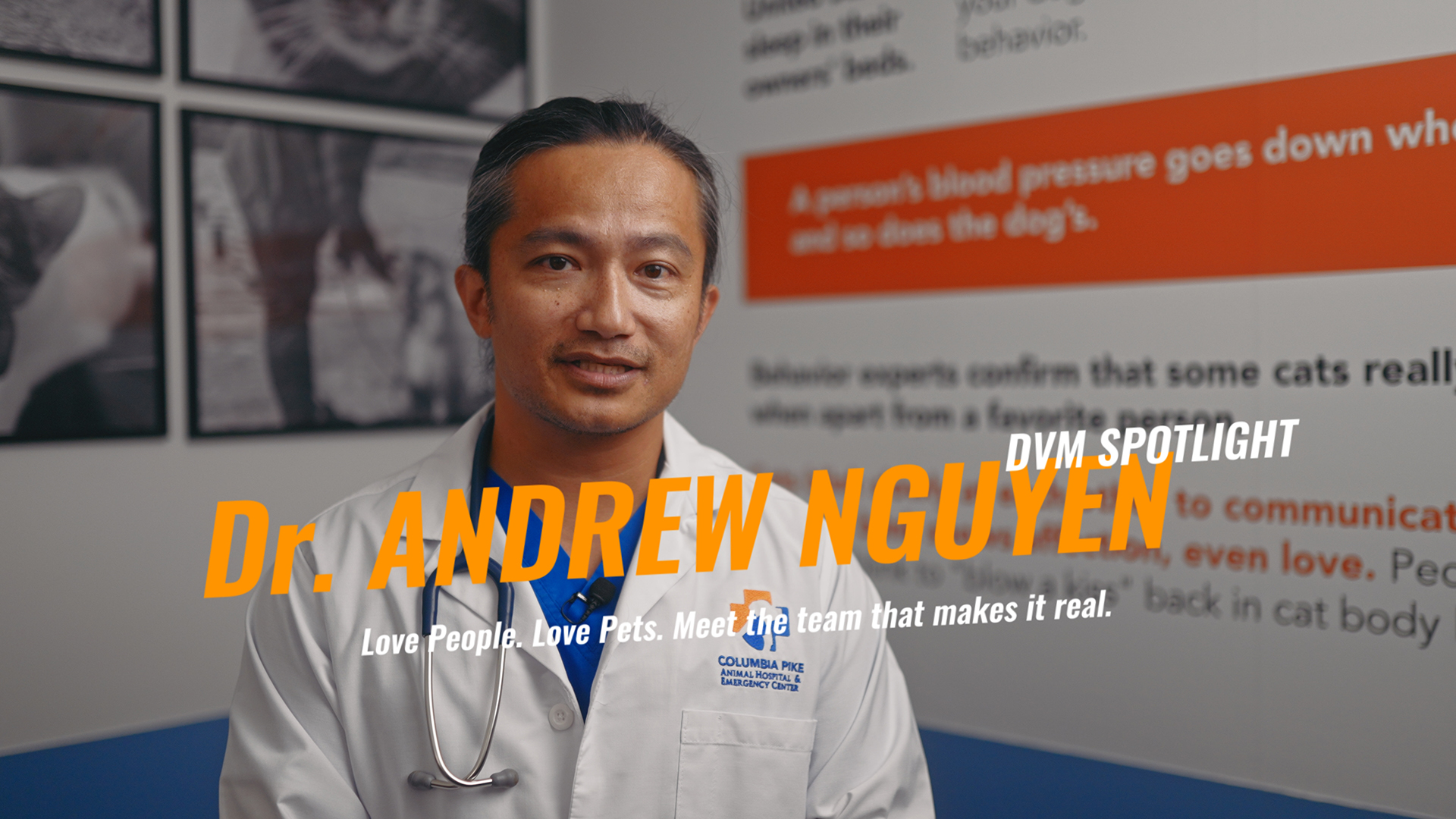 DVM Spotlight: Meet Dr. Andrew Nguyen from Columbia Pike Animal Hospital