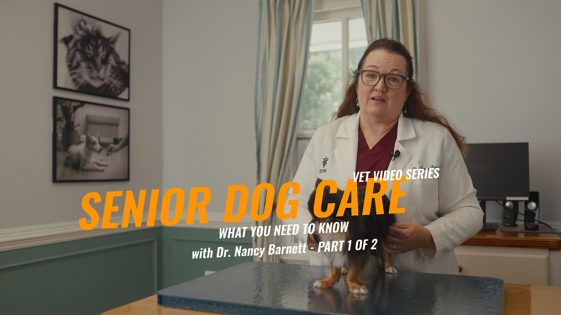 Senior Dog Care: Part 1 with Dr. Nancy Barnett