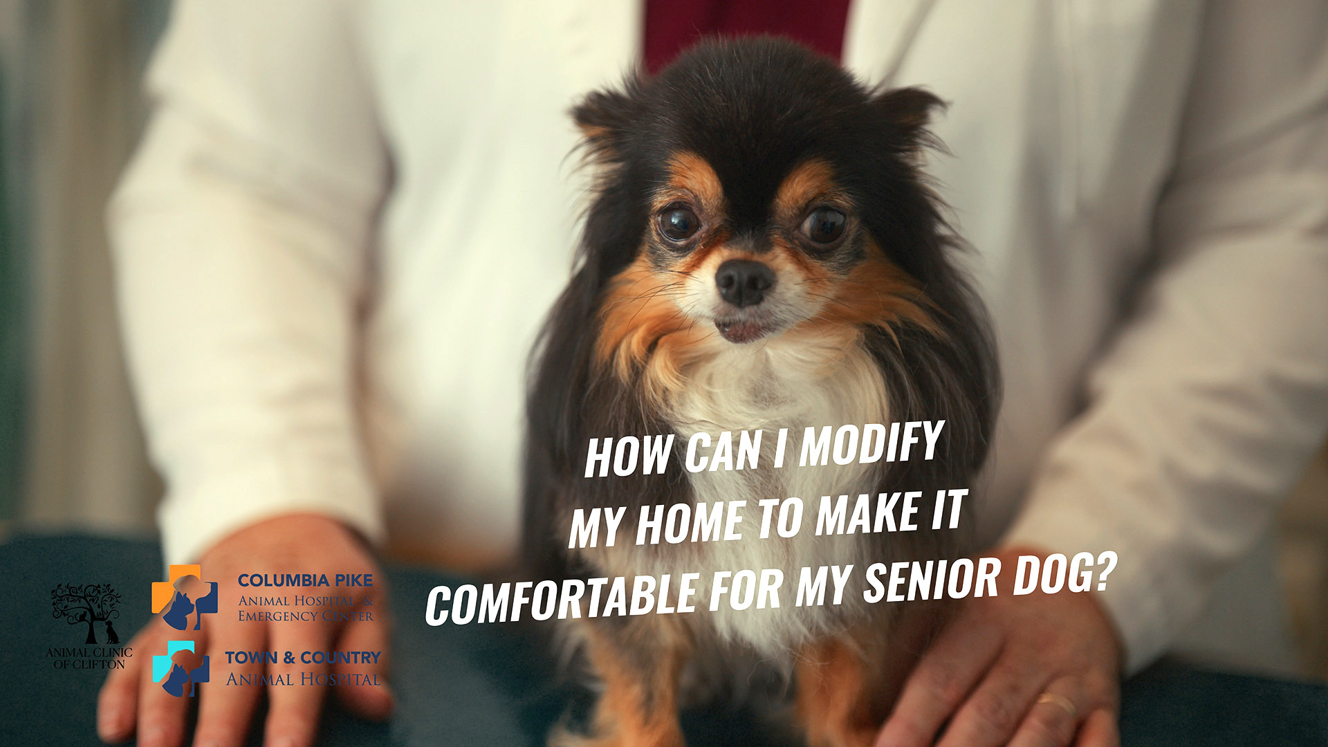 Senior Dog Care: Part 2 with Dr. Nancy Barnett