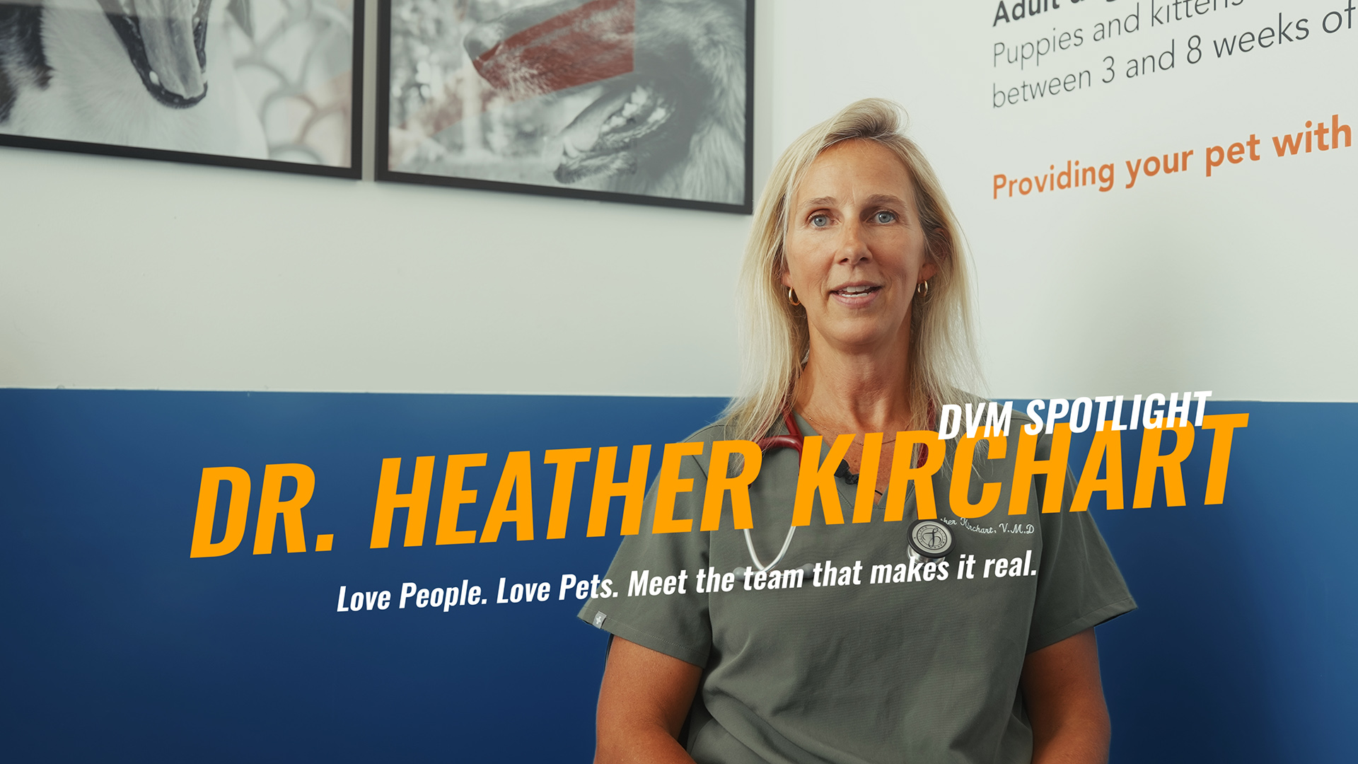 Meet Dr. Heather Kirchart