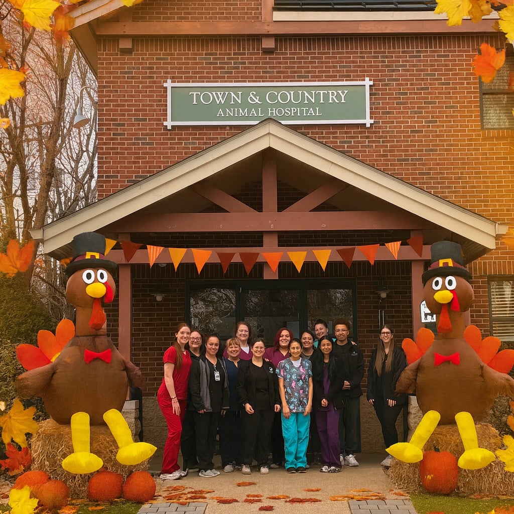 Grateful for You This Thanksgiving!