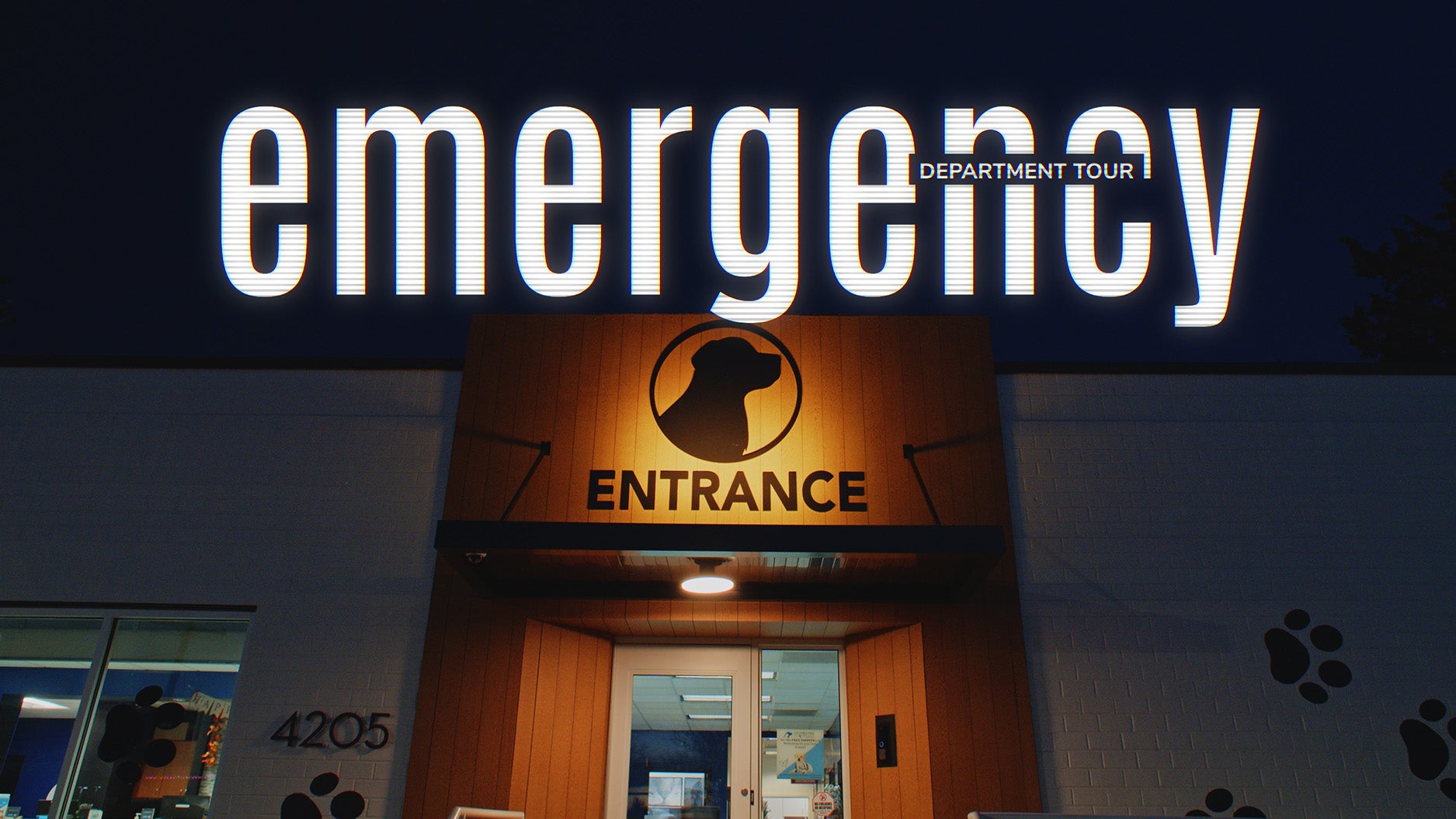 Inside Our Sister Hospital’s Veterinary Emergency Room - Columbia Pike Animal Hospital