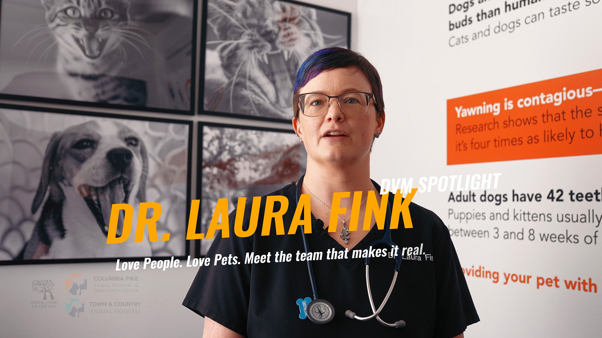 Meet Dr. Laura Fink, DVM