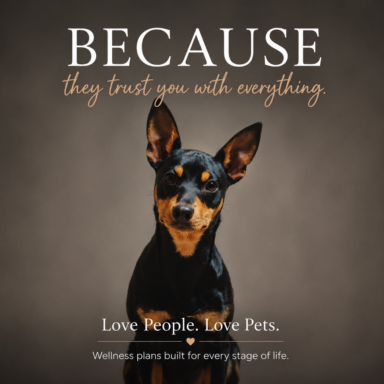 Trupanion and Your Wellness Plan: Coverage for Every Stage of Your Pet's Life