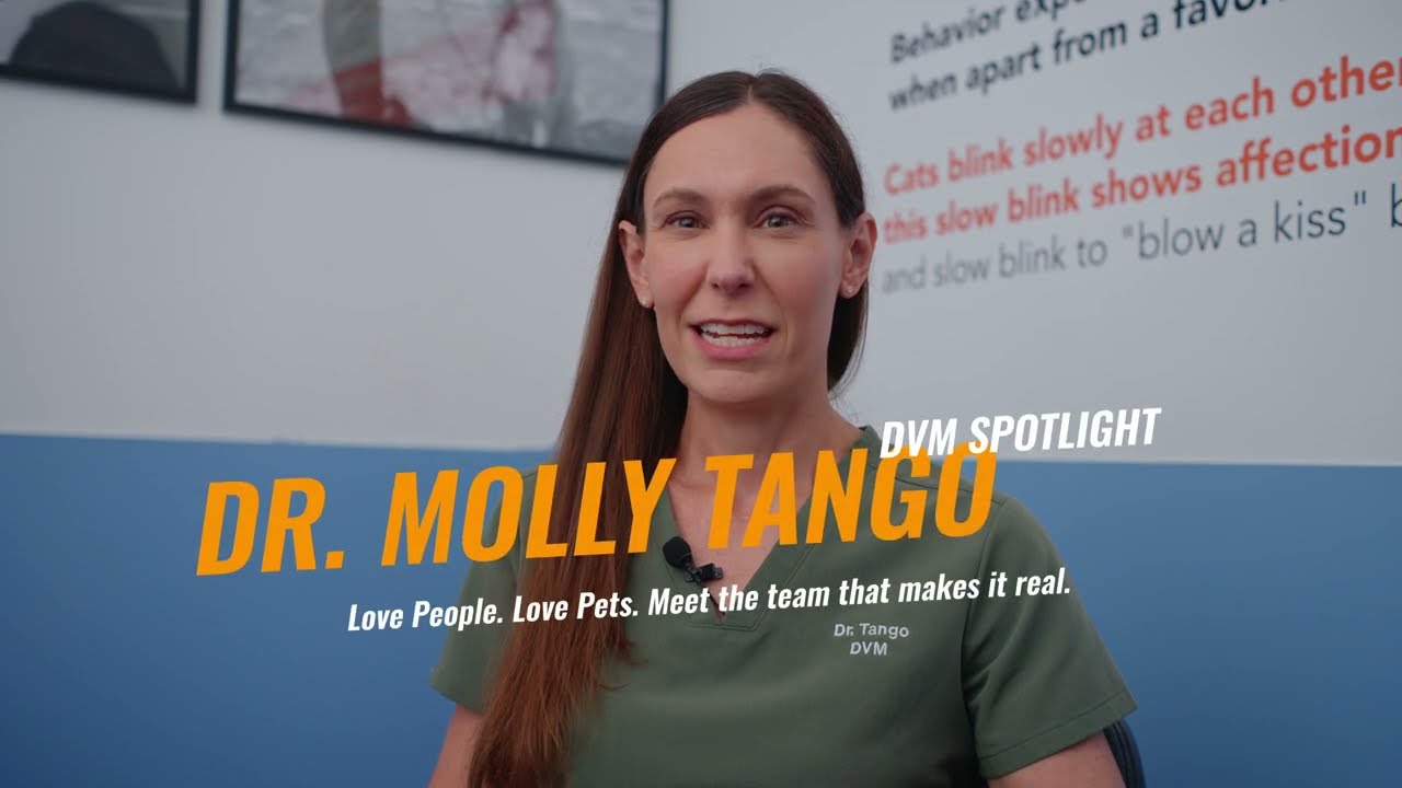 Your Vet Has Backup. Meet Dr. Molly Tango.