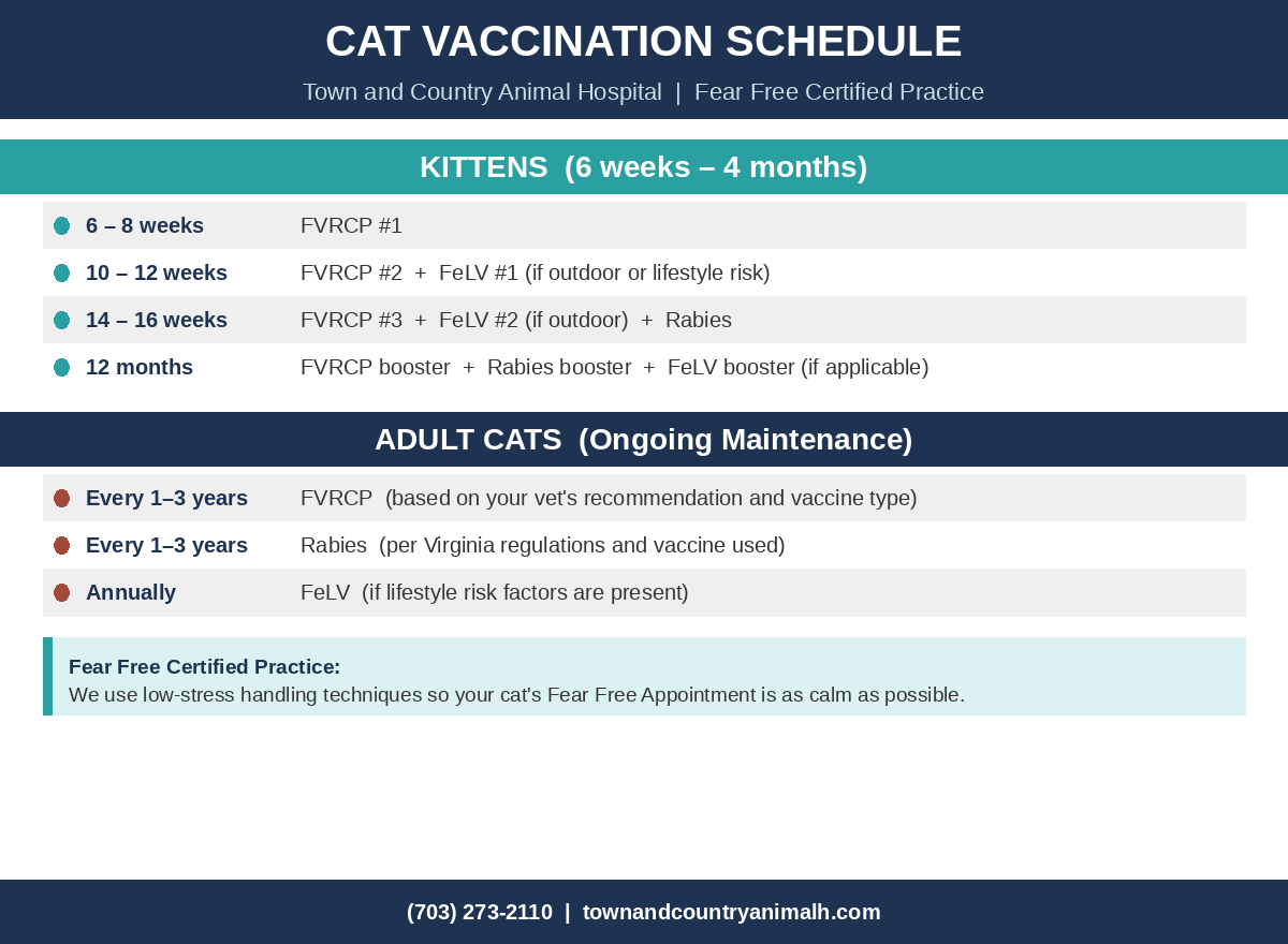 Cat vaccine schedule for kittens and adults - Town and Country Animal Hospital