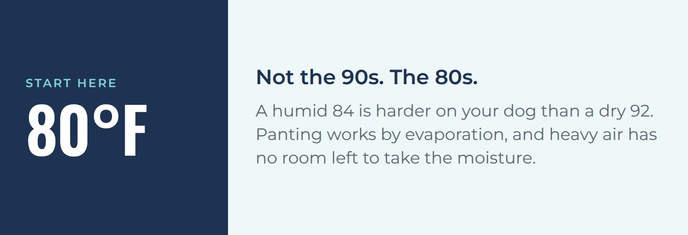 Start paying attention at 80 degrees. A humid 84 is harder on your dog than a dry 92.