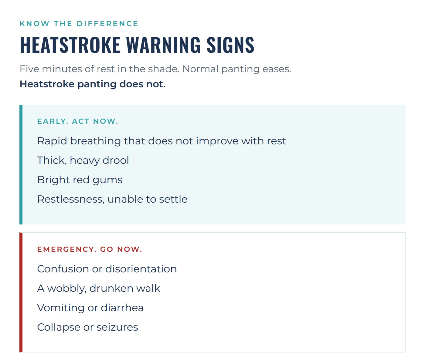 Heatstroke warning signs in dogs. Early signs are rapid breathing that does not improve with rest, thick heavy drool, bright red gums, and restlessness. Emergency signs are confusion, a wobbly walk, vomiting or diarrhea, collapse or seizures.