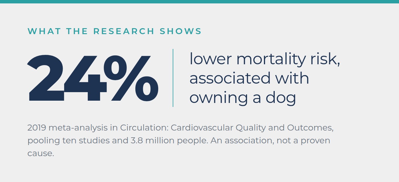 24 percent lower long-term mortality risk associated with dog ownership, 2019 meta-analysis in Circulation Cardiovascular Quality and Outcomes