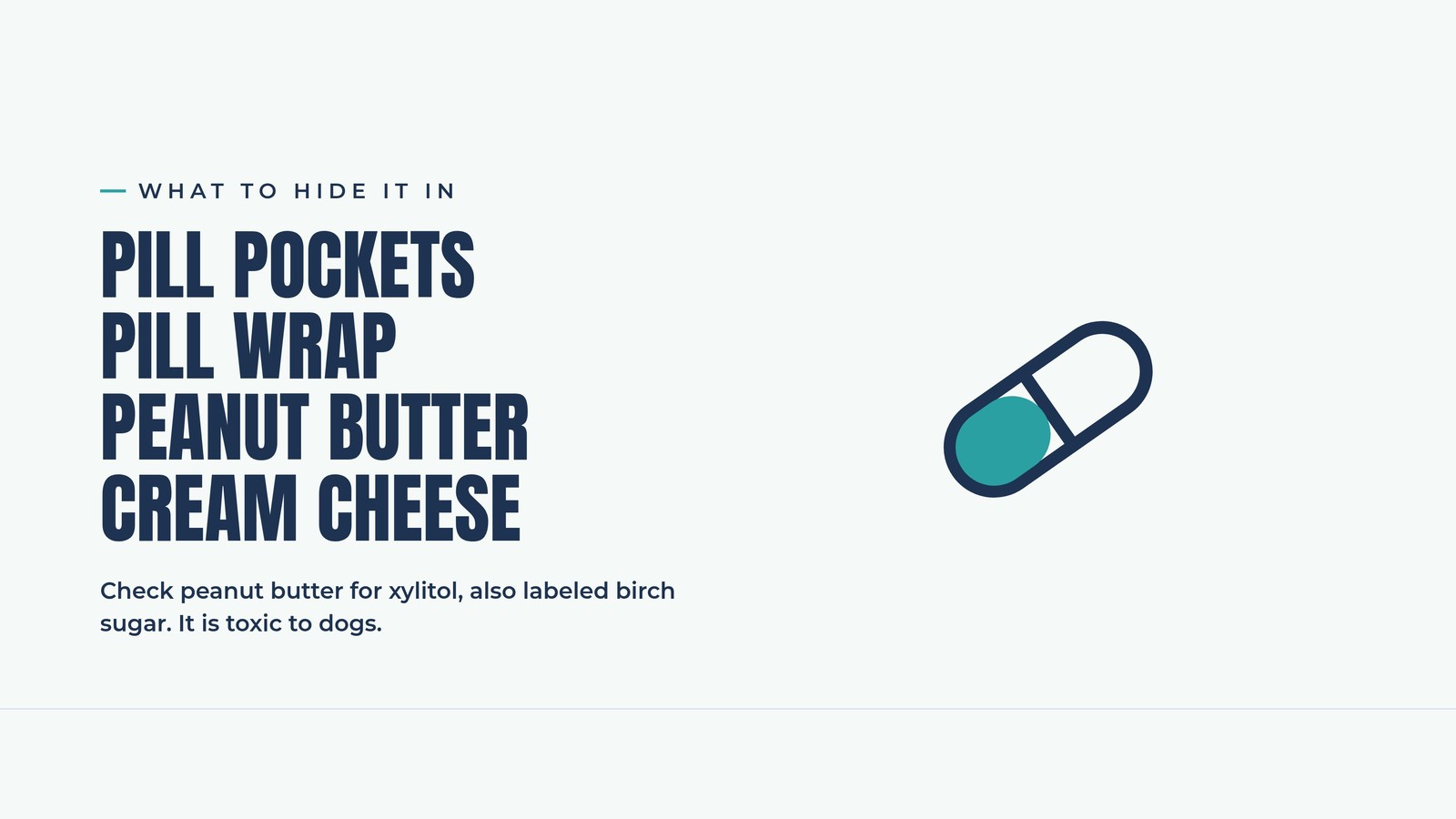 Infographic: what to hide a dog's pill in, including pill pockets, pill wrap, peanut butter, and cream cheese, with a xylitol warning