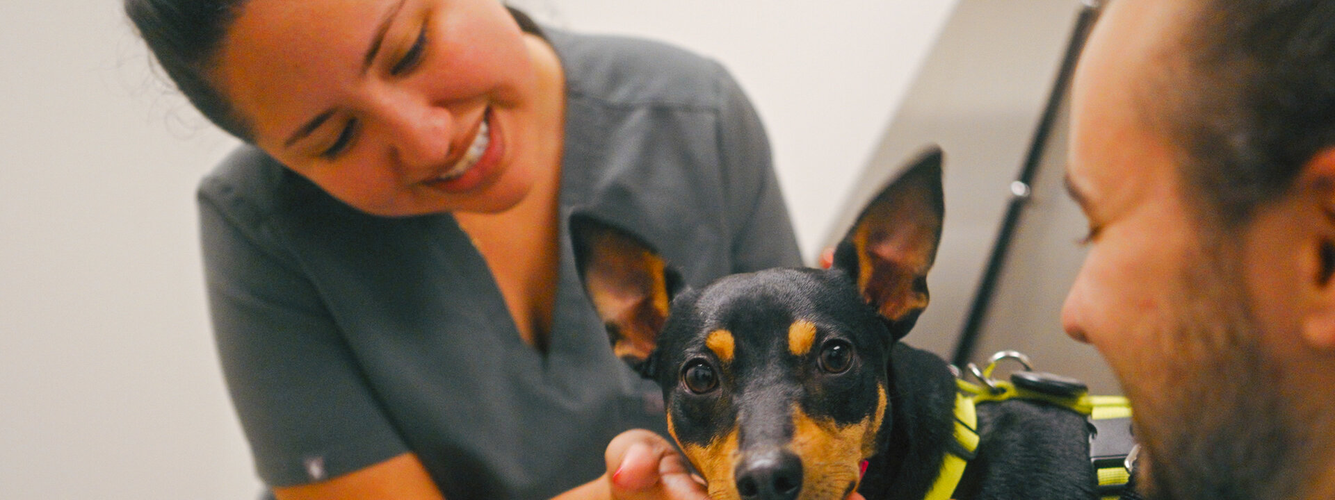 A Town and Country technician and pet parent smiling together with a min pin dog during a Fear Free Appointment