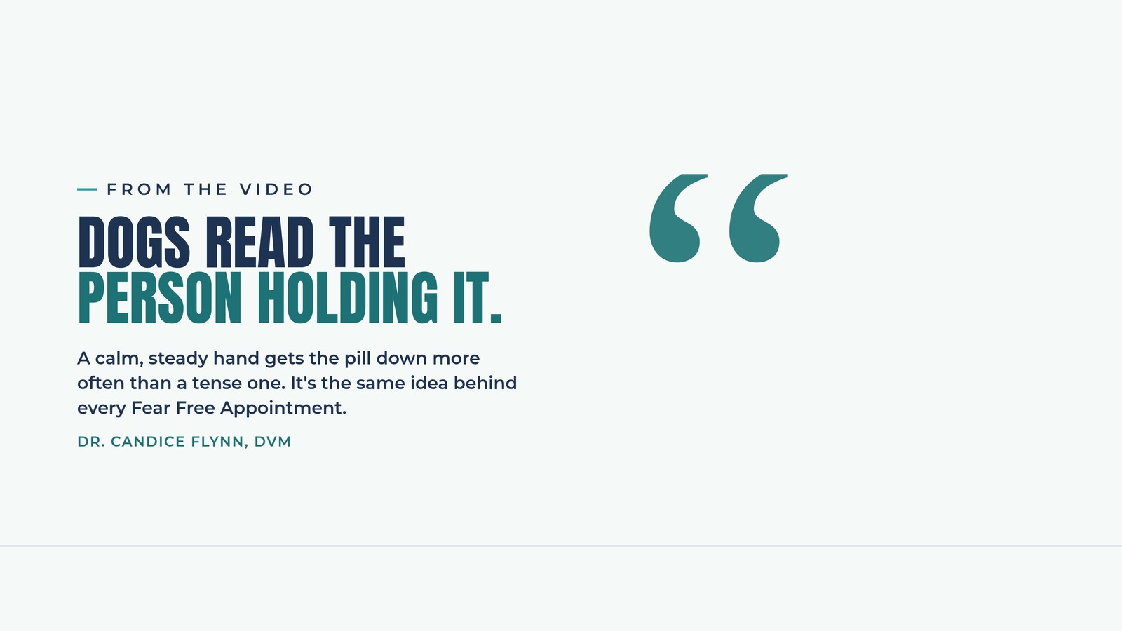 Quote card: Dogs read the person holding it, a calm steady hand gets the pill down more often than a tense one, Dr. Candice Flynn DVM