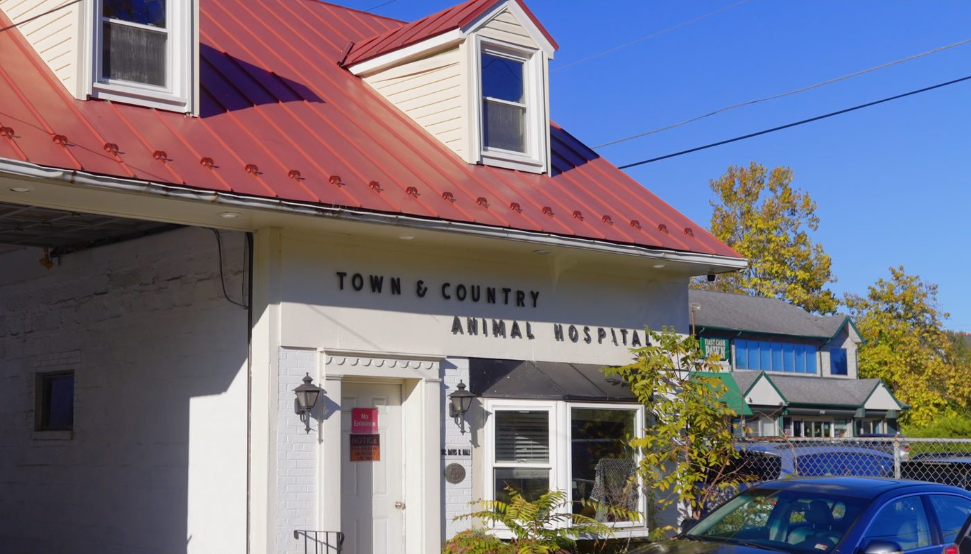 Town and Country Animal Hospital in Fairfax, Virginia, on a sunny day