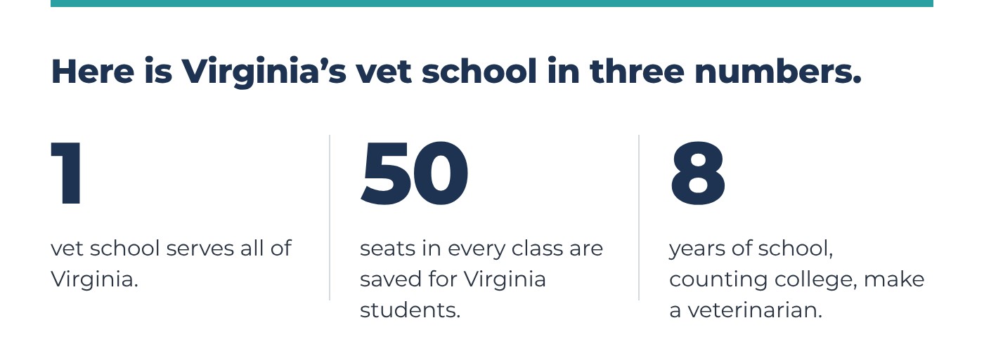 Here is Virginia's vet school in three numbers: 1 vet school serves all of Virginia, 50 seats in every class are saved for Virginia students, and 8 years of school, counting college, make a veterinarian.