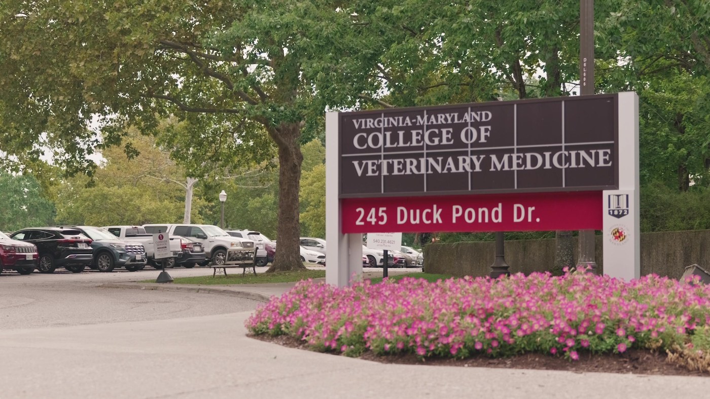 The Virginia-Maryland College of Veterinary Medicine sign at 245 Duck Pond Drive in Blacksburg