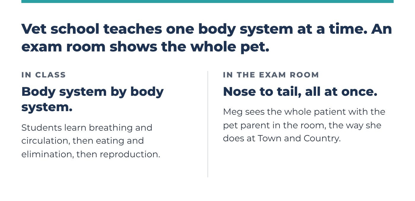 Vet school teaches one body system at a time. An exam room shows the whole pet. In class, students learn breathing and circulation, then eating and elimination, then reproduction. In the exam room, Meg sees the whole patient, nose to tail, with the pet parent in the room.