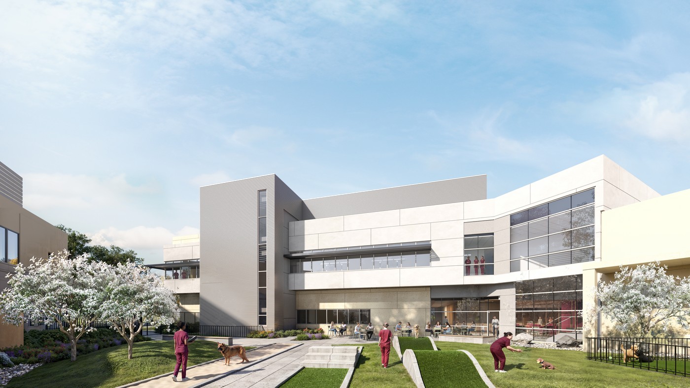 Rendering of dogs and veterinary staff in the courtyard garden beside the new addition to the teaching hospital at Virginia Tech