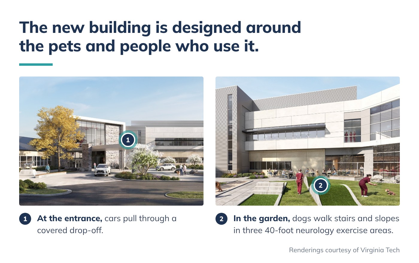 The new building is designed around the pets and people who use it. At the entrance, cars pull through a covered drop-off. In the garden, dogs walk stairs and slopes in three 40-foot neurology exercise areas. Renderings courtesy of Virginia Tech.