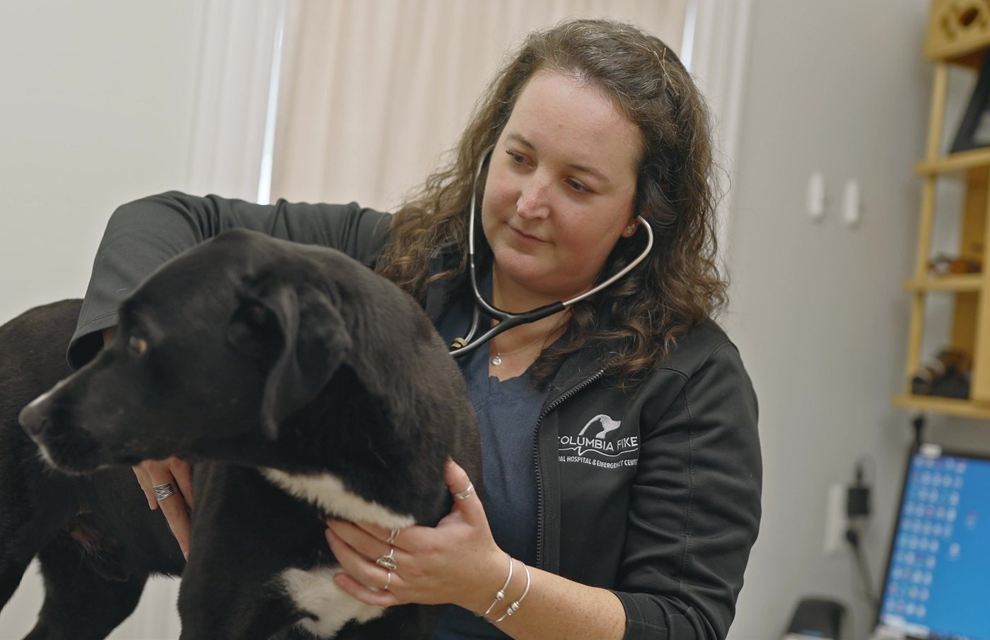 Fear Free Care in Clifton With Dr. Rebecca Reusch
