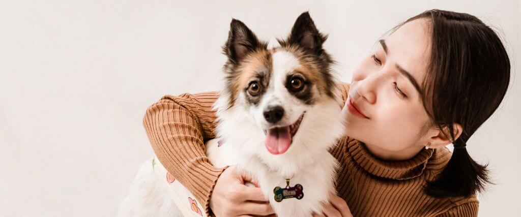 6 Signs That You Should Consider Hyperbaric Oxygen Therapy for Your Dog