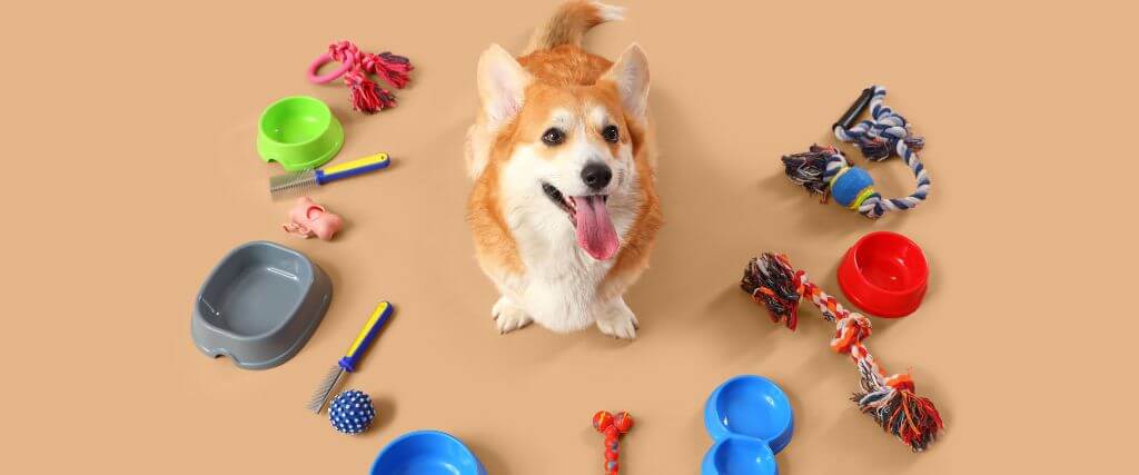Essential Purchases for First-Time Dog Owners 