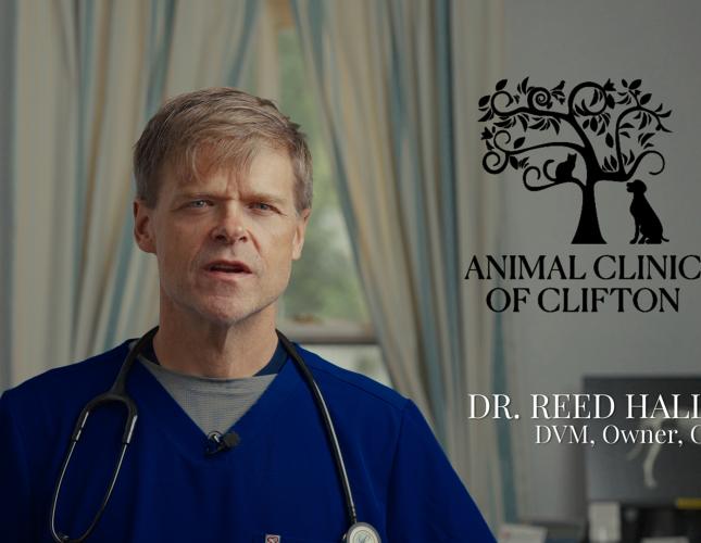 Welcome Animal Clinic of Clifton to Our Veterinary Family