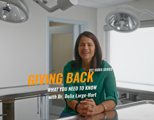 Giving Back: Why Volunteering Matters in Veterinary Medicine