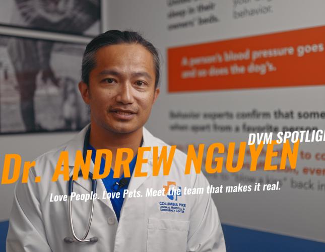 DVM Spotlight: Meet Dr. Andrew Nguyen from Columbia Pike Animal Hospital