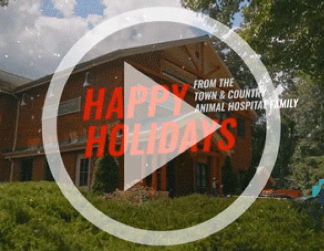 A Holiday Message From Town & Country Animal Hospital