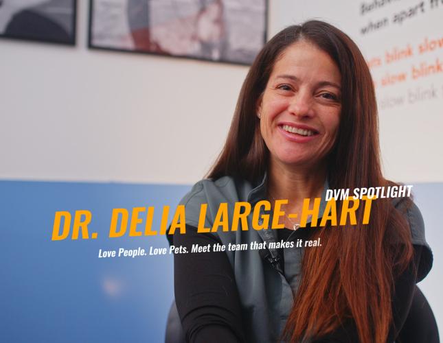 Meet Dr. Delia Large-Hart