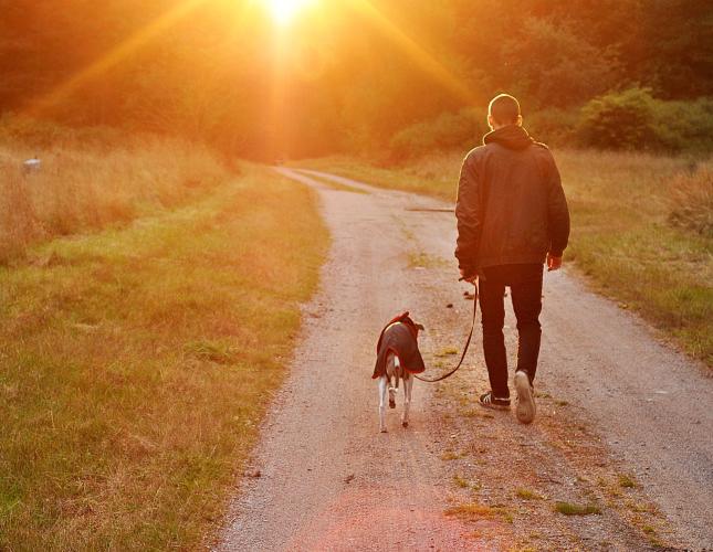 Hospice Care and Euthanasia: When It’s Time to Say Goodbye