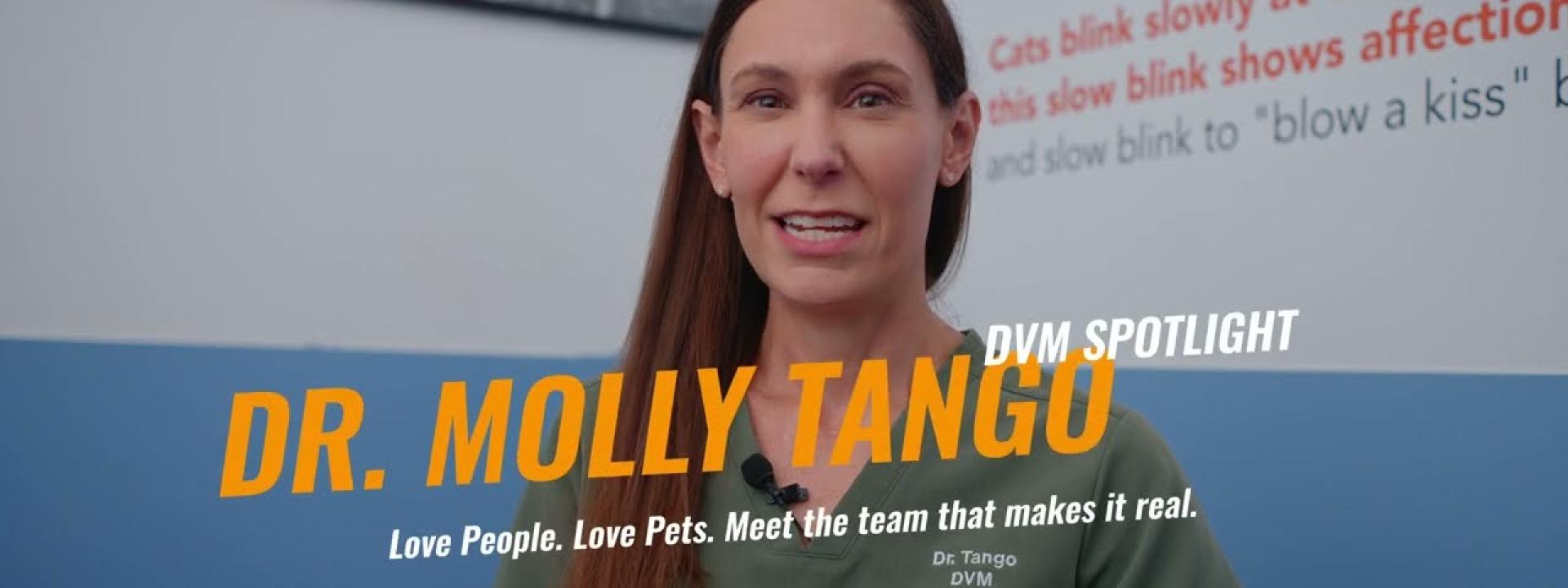 Dr. Molly Tango, DVM — Town and Country Animal Hospital DVM Spotlight
